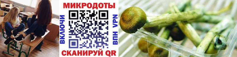 Псилоцибиновые грибы Cubensis darknet клад Новосиль закладка