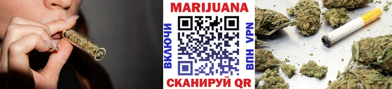 Шишки марихуана планчик  где купить наркоту  Новосиль 